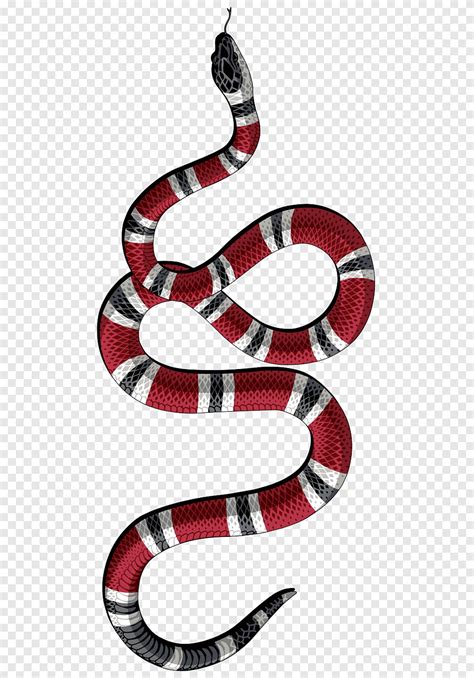 black gucci snake real animal